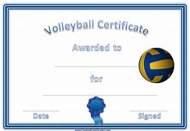 Image result for Volleyball Awards High Resolution