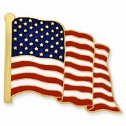 Image result for American Flag Pin