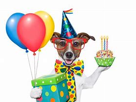 Image result for Dog Birthday Graphic