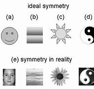 Image result for Mirror Symmetry Examples
