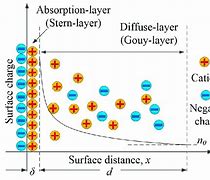 Image result for The Electrical Double Layer