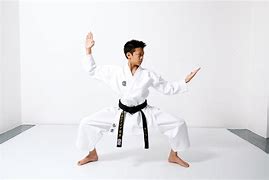 Image result for Karate Uniform
