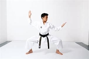 Image result for Karate Uniform