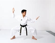 Image result for Karate Ghee