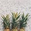 Image result for Pineapple Aesthetic Gold