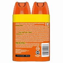 Image result for Auto Outdoor Bug Sprayer