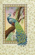 Image result for Peacock Cross Stitch Kits