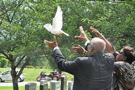 Image result for Dove Image for Funeral Service