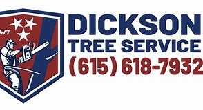Image result for Dickson Logo.png