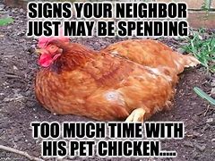 Image result for Chicken Owner Meme