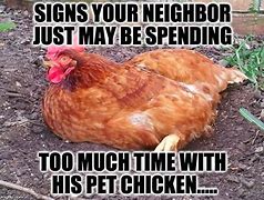 Image result for Chicken Meme
