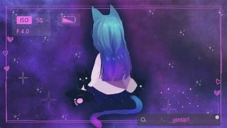 Image result for Universe Cat Drowning
