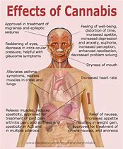 Image result for Harmful Side Effects of Marijuana