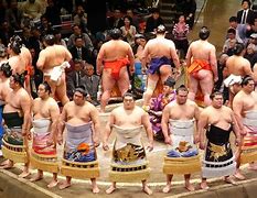 Image result for Sumo Wrestling Ring