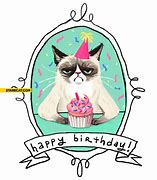 Image result for Grumpy Cat Happy Birthday Bird