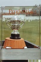 Image result for Silver Trophy for Cricket