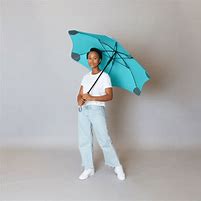 Image result for Classic Umbrella