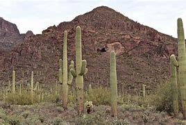 Image result for Superstition Mountains Arizona Caves