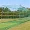 Image result for Cricket Graphics Trees