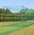 Image result for Playing Cricket