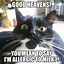 Image result for Cute Funny Kitten Images