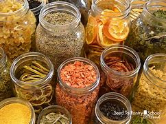 Image result for Dehydrated Foods Summer