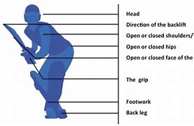 Image result for Batting in Cricket Diagram