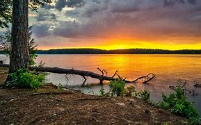 Image result for West Point Lake