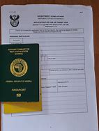 Image result for Visa Application South Africa