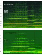 Image result for Fundamental Frequency in Flute Diagram