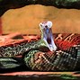 Image result for Venomous American Snakes