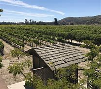 Image result for Jamie Slone Pinot Noir