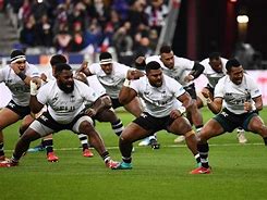 Image result for Fiji Rugby Wallpaper