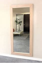 Image result for Secret Mirror Door