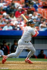 Image result for Gary Gaetti Cardinals