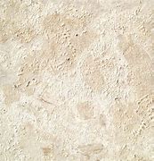 Image result for Coral Stone Tile