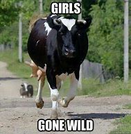 Image result for Love Cow Meme