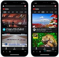 Image result for Tube Browser iPad