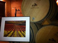 Image result for Santalba Rioja Mutuo Viticultura Ecologica Crianza