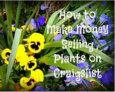 Image result for Craigslist Facebook Marketplace Letgo