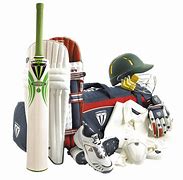 Image result for Equipment Used in Cricket