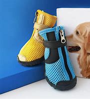 Image result for Big Shoes to Fill Pic Dog