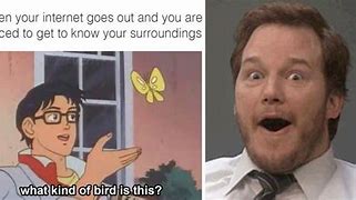 Image result for So What Are You Here for Meme