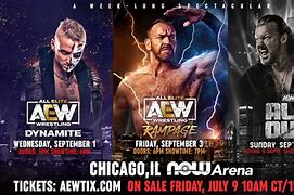Image result for Aew Wrestling Dynasty