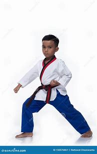Image result for Taekwondo Pose