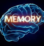 Image result for Meaning of Memory