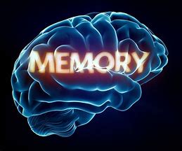 Image result for Books On Human Memory