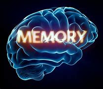 Image result for Brain Memories
