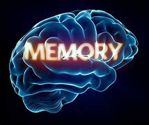 Image result for Facts About Memory