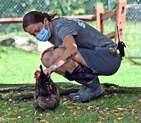Image result for Zookeeper in Germany